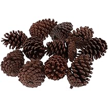 mt～様ご注文商品やすの松ぼっくり大量14㎝ mt～様ご注文商品やすの松ぼっくり大量14㎝